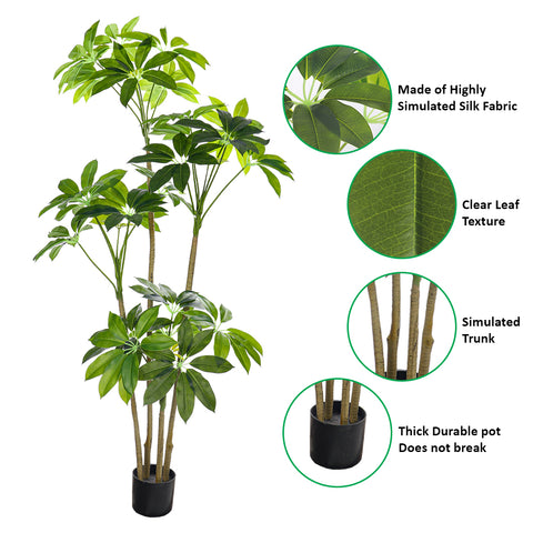 Nearly Natural Money Plant for Home Decoration