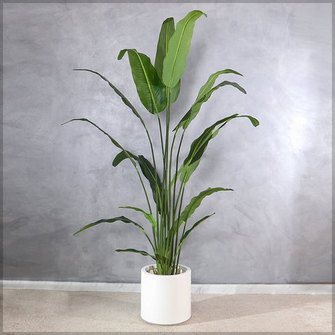 White Decorative Plastic Planter