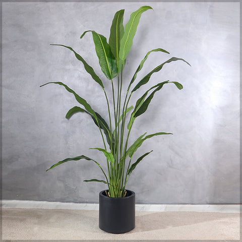 Black Decorative Plastic Planter