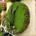 Moss wall, Green wall panel,