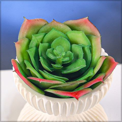 Realistic succulent pick