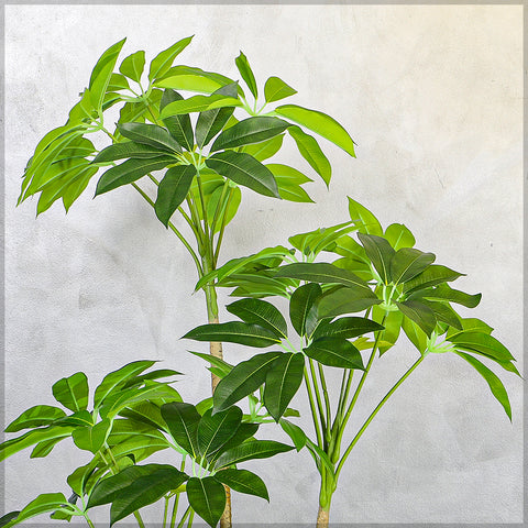 Nearly Natural Money Plant for Home Decoration