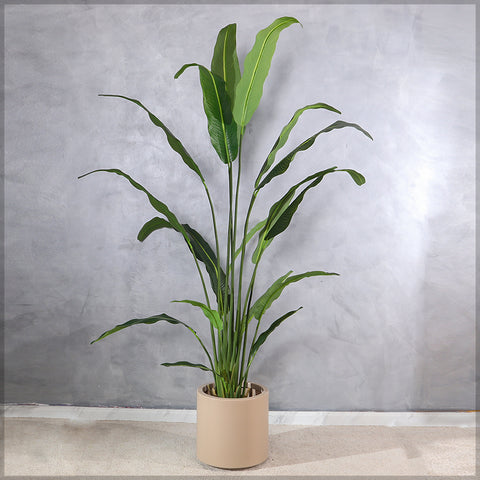 Coffee decorative plant pot in UAE