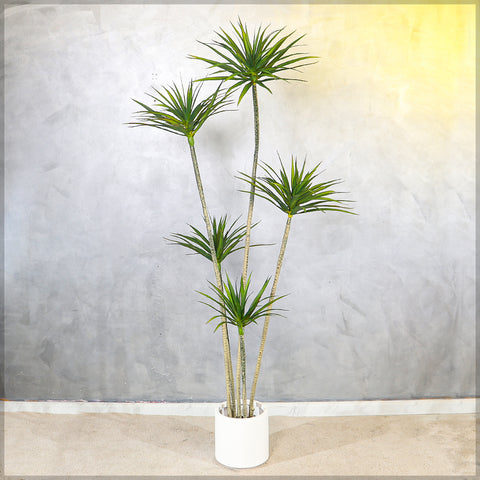 Faux Dracaena Plant for Home and Office