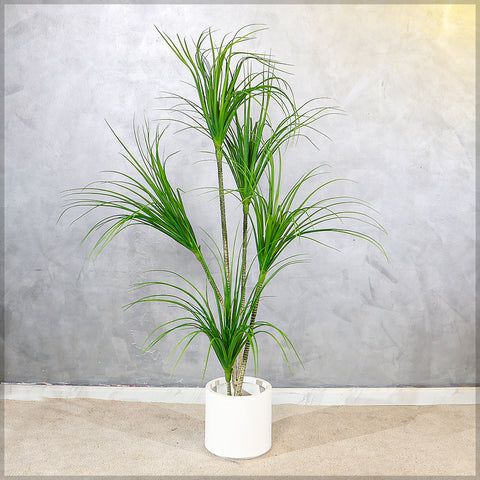 Artificial Dragon Plant 170cm Tall