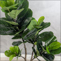 Realistic faux fiddle leaf plant