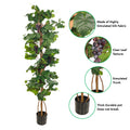 Faux potted grape plant for easy maintenance