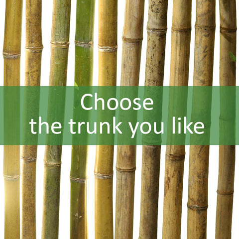 Nearly Natural Bamboo Stems