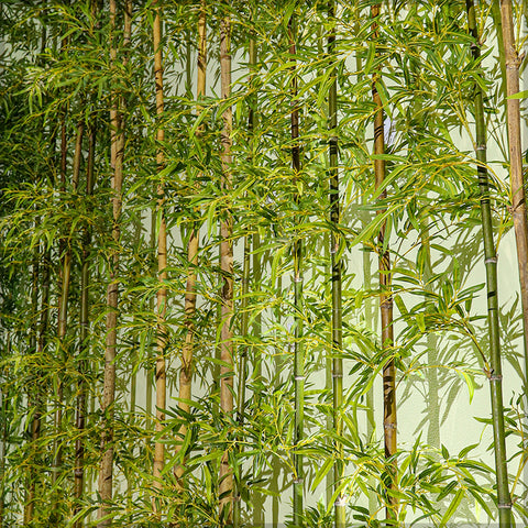 Nearly Natural Bamboo Stems