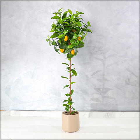 Faux Potted Lemon Plant