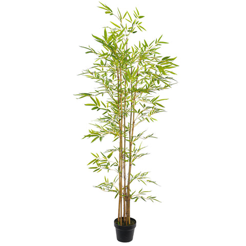 Faux Bamboo Plants