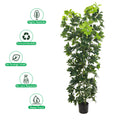 Decorative artificial schefflera arboricola plant for offices