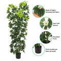 Large faux schefflera plant for home styling