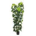 Artificial schefflera arboricola plant for modern décor