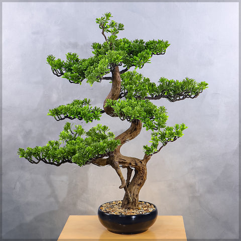 Faux bonsai plant in black pot