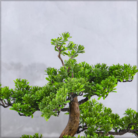 Realistic faux bonsai plant in black pot