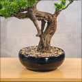 Artificial bonsai plant