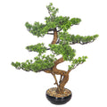 Artificial bonsai plant in black pot