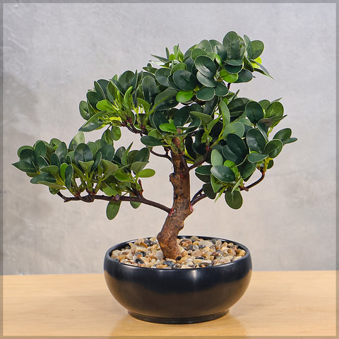 Lifelike artificial ficus bonsai plant