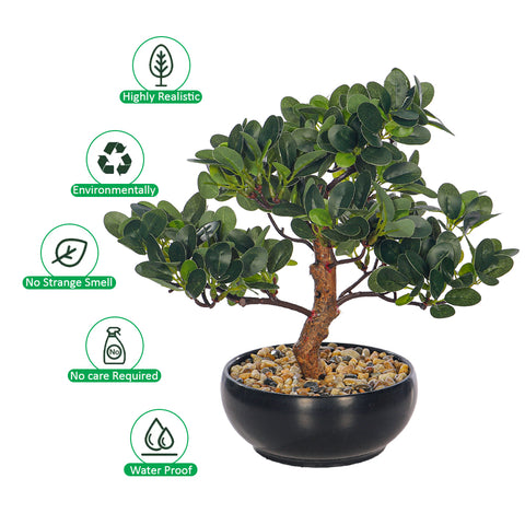 Faux ficus bonsai plant