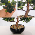 Decorative artificial ficus bonsai tree