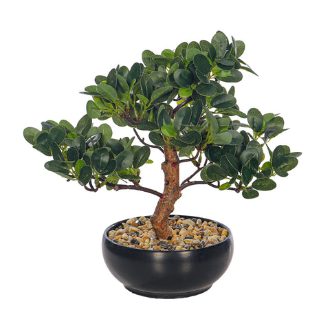 Artificial potted ficus bonsai plant