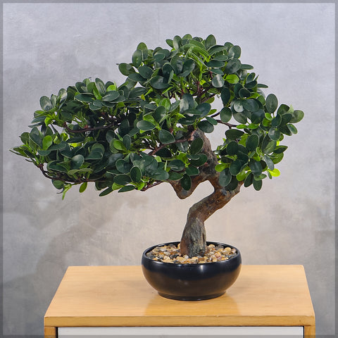 Artificial Potted Ficus Bonsai Plant