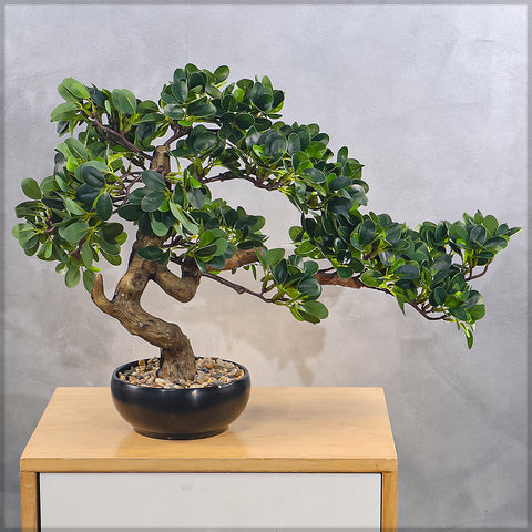 Artificial Potted Ficus Bonsai Plant