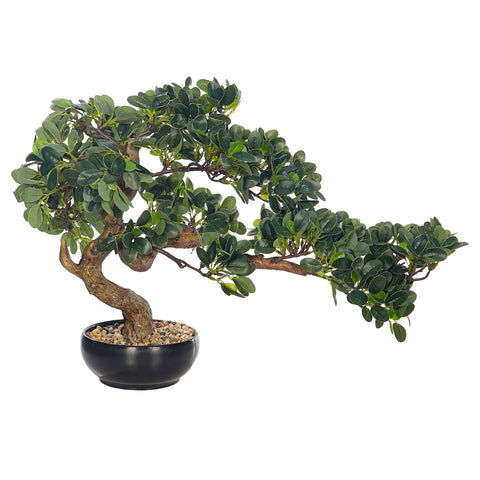 Artificial Potted Ficus Bonsai Plant