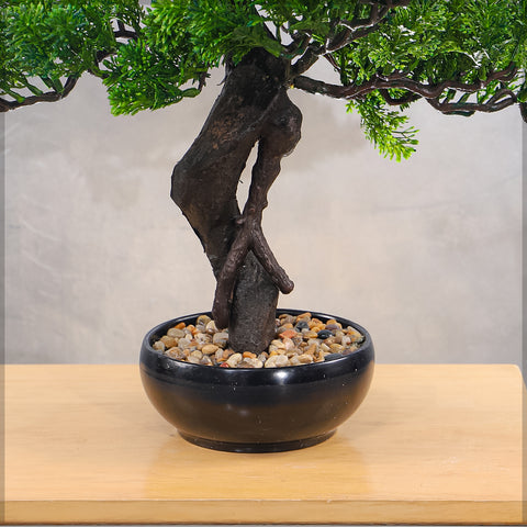 Artificial bonsai tree for trendy interior styling