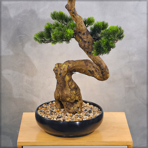 Artificial Potted Bonsai Pine Plant