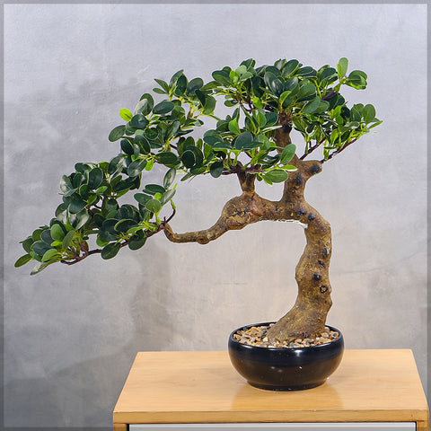 Artificial Potted Ficus Bonsai Plant