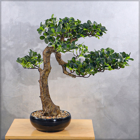 Artificial Potted Ficus Bonsai Plant