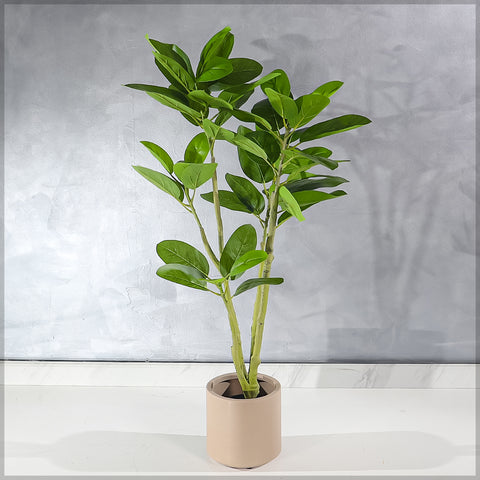 Low-maintenance artificial plant in black pot for home