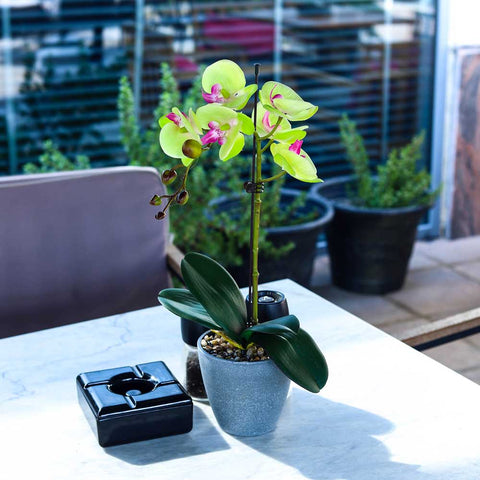 Artificial Potted Phalaenopsis Flower