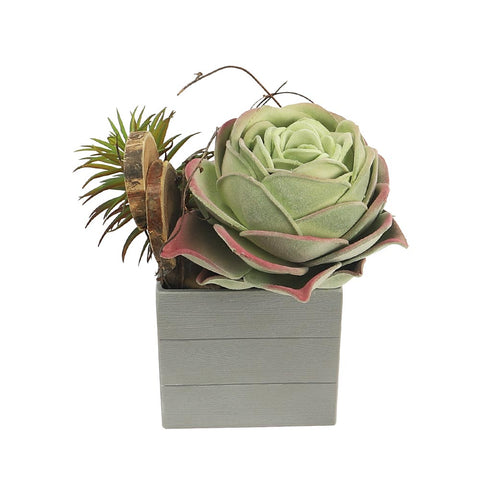 Artificial Potted Succulent Plant