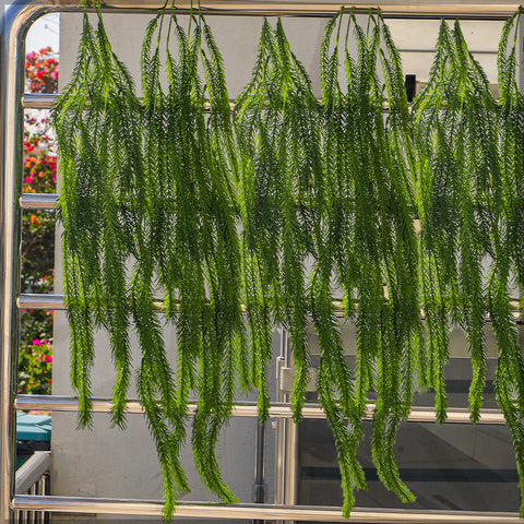 Faux asparagus trailing plant