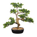 Decorative cajuput bonsai tree artificial for living room