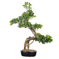 Artificial cajuput bonsai tree for home decor