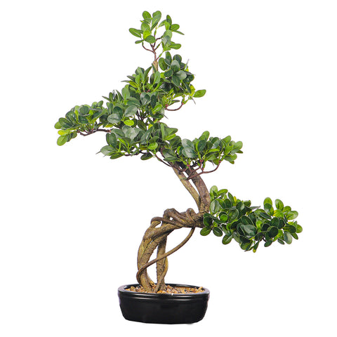 Artificial cajuput bonsai tree for home decor