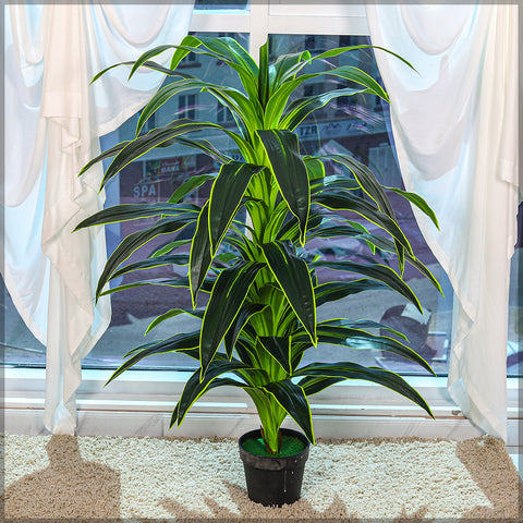 Artificial Dracaena Massangeana Plant Design