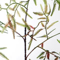 Fake fern plants for enhancing indoor and outdoor spaces