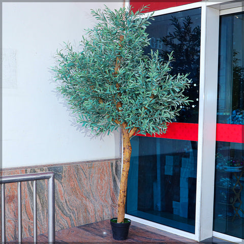 Fake olive tree indoor for modern living