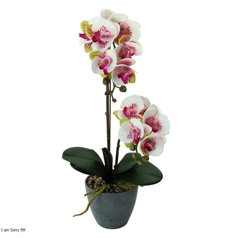 Fake Potted Orchid Flower With 2 Stem