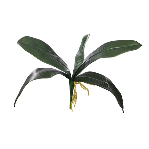 Artificial Phalaenopsis Leaves