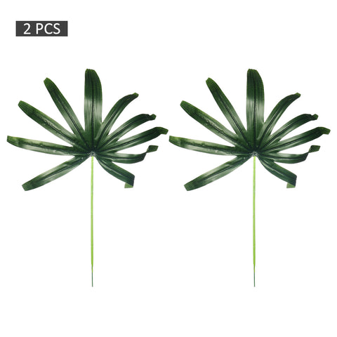 Decorative lady palm tree branches