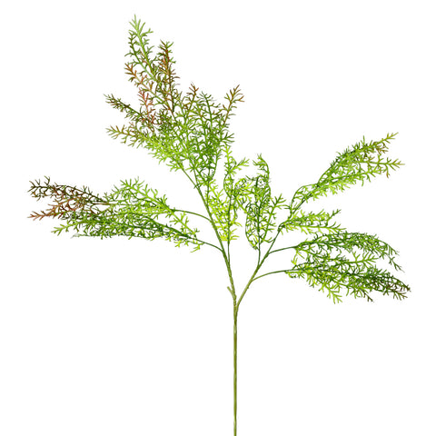 Faux sprengeri fern for hanging garden decor