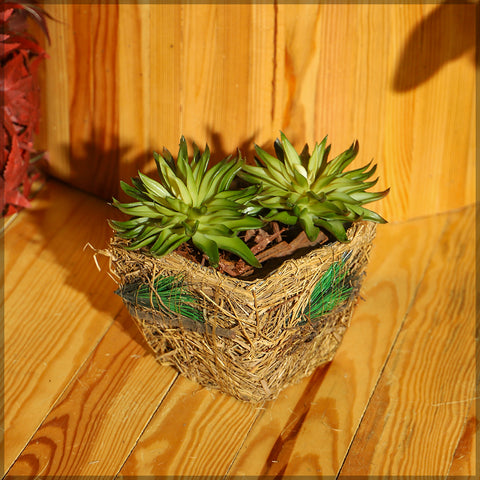 Unique raffia woven planter box for home styling