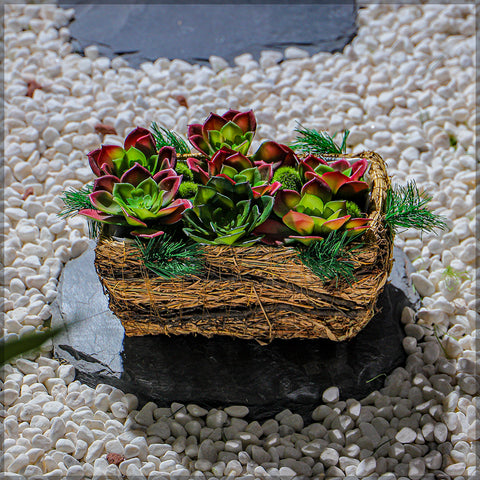 Handmade raffia planter box for succulents and flowers