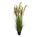 Large Pampas Grass for Floor Decoration